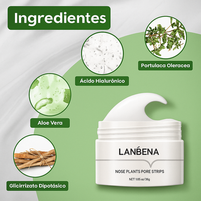 Lanbena® - Mascarilla avanzada para puntos negros